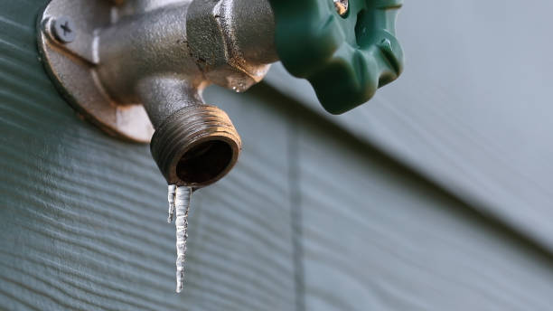Best Residential Plumbing Services  in Greenup, KY